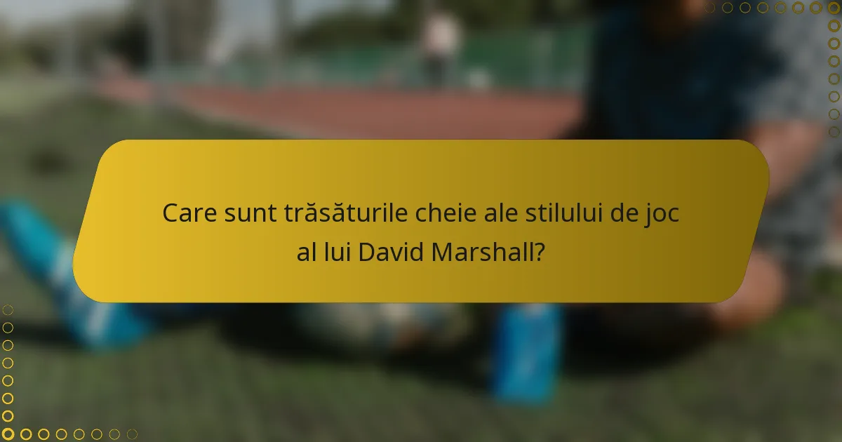 Care sunt trăsăturile cheie ale stilului de joc al lui David Marshall?
